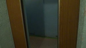 Электрические лифты (г. Химки), V=1 м-с, г-п 320, 500 кг (87)