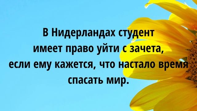 Юморяшки,Юморные и шуточные цитаты и Афоризмы