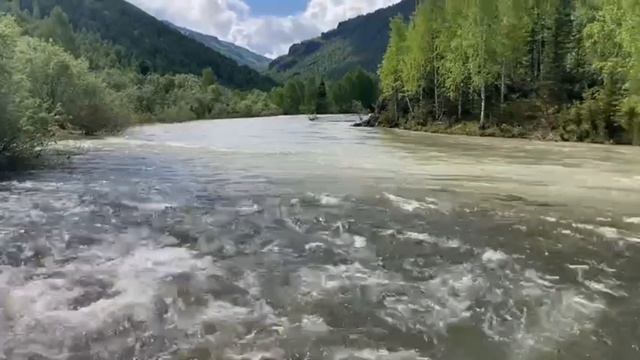 верховья Катуни #shorts смотреть онлайн