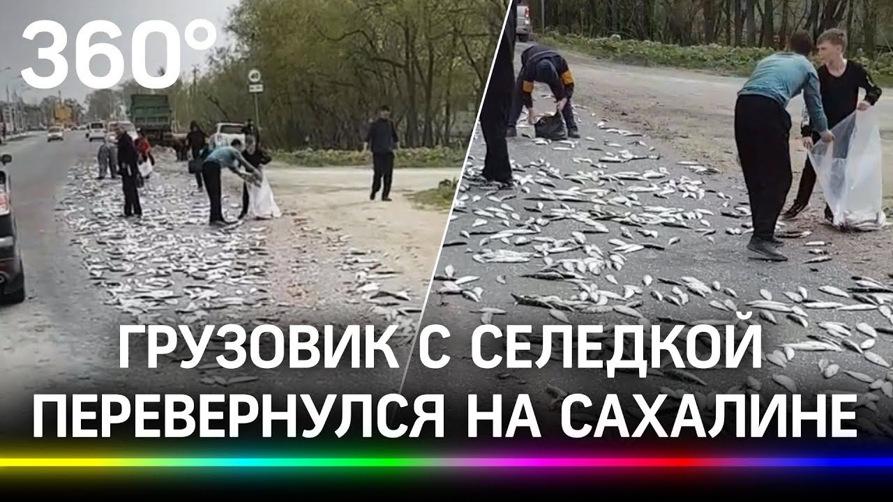 Грузовик с селедкой перевернулся на Сахалине   - видео