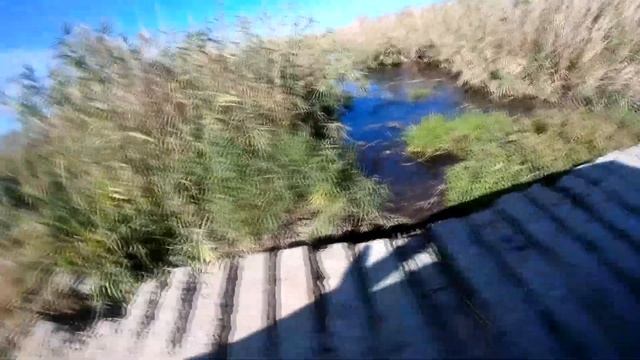 Сбор ШИПОВНИКА. Рыбалочка! Выходной 15.09.19. смотреть онлайн