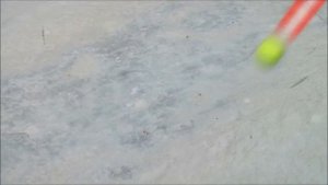 Что такое СКОРОСТЬ СВЕТА  Все факты за 5 минут!