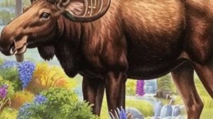 О мультсериалах "Бумажки", "Пчелография" и "Четверо в кубе"