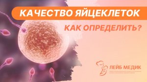 ? Качество яйцеклеток - как определить?
