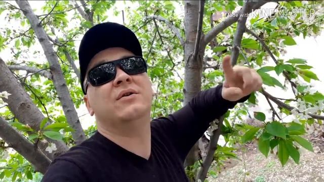 Как проверить подругу. Топ 5. Интернет сериал. смотреть онлайн