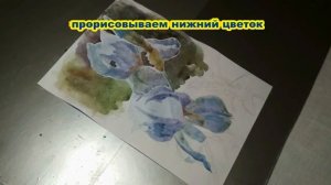 #акварель#watercolor#УрокиРисования#Drawinglessons#ArtandLife Как нарисовать ирисы акварелью.