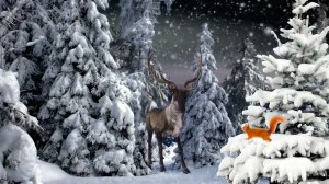 Футаж Встреча в лесу Белка