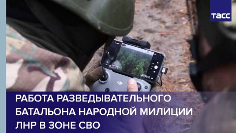 Работа разведывательного батальона Народной милиции ЛНР в зоне СВО #shorts