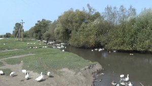 Остапье