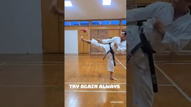 Jks Takapuna Shotokan Karate Club never give up