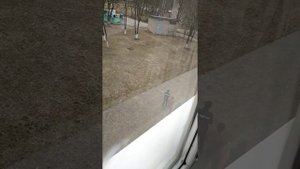 ЦЫГАНЕ ПРОТИВ РУССКИХ