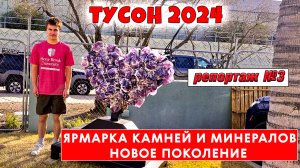 Зрелищная ярмарка камней и минералов в Аризоне глазами молодежи. Выпуск 3