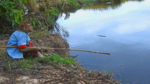 WoW SokYaa Fishing Alone & Bring Back Home, Amazing Video