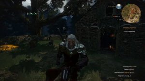 The Witcher 3: Wild Hunt #50 - Лето в Каэр Морхене