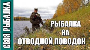Отводной поводок в октябре на Канале имени Москвы