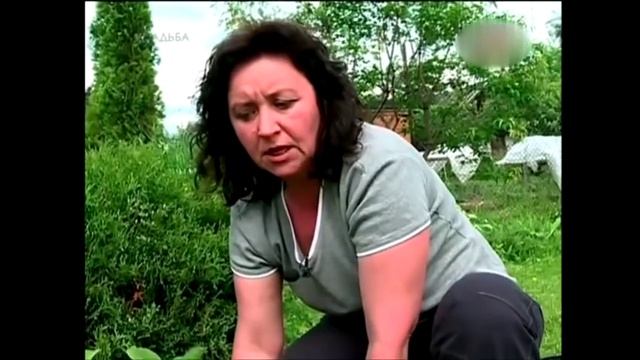 Рододендрон садовый посадка и уход ч.2