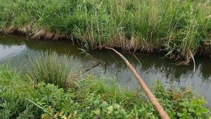 ЛОВИМ РЫБУ НА ЭКРАНЫ. Выбрались вечерком на час.