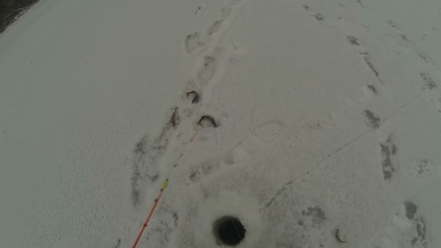 Иваньковское Водохранилище (Первый технический залив)