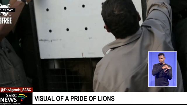 Efforts to conserve the natural ecosystem in various Game Reserves gaining traction смотреть онлайн