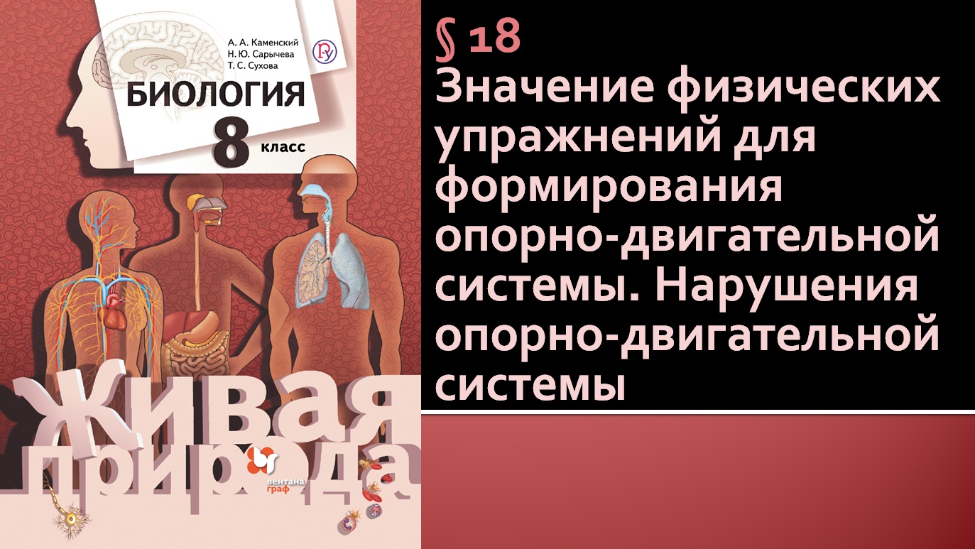 Параграф 18. Значение физических упражнений для формирования опорно-двигательной системы