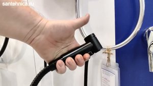 Сантехника.ру: Гигиенический душ Kludi Bozz 389983976 black, со смесителем, матовый