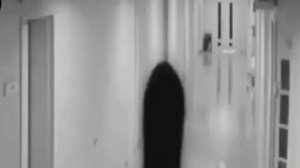 333.333.333 оригинальное видео