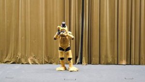 Mangafest 2019 - Concurso cosplay - Golden Freddy - Five Nights at Freddy's (FNAF)