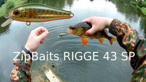 Zipbaits Rigge 43