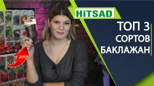 Топ 3 сортов баклажан Самые урожайные сорта баклажан