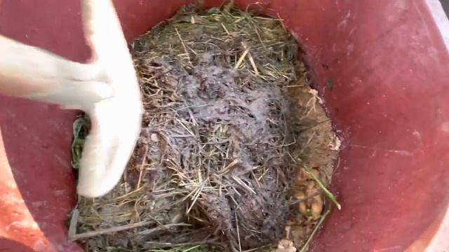 Южная Корея. ?Деревенька / Закончила с огородом! / Всё распахала и засадила / Что получилось смотреть онлайн