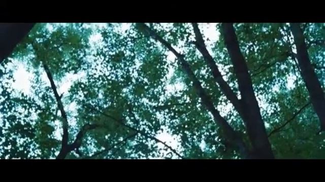 Голодные булки (песня от Ancord a) смотреть онлайн