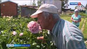 ГТРК СЛАВИЯ Пионы Ивана Васильева 11.06.24