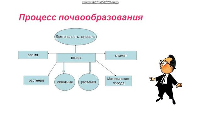 География 7 класс. Тема: Строение и свойства почвы