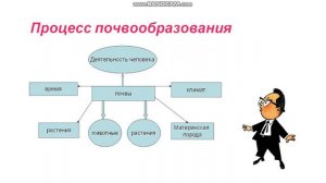 География 7 класс. Тема: Строение и свойства почвы
