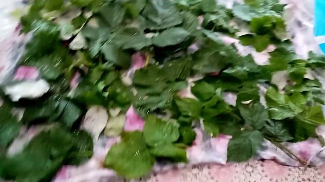 8 июня 2020 г.Влог чай из листьев малины смотреть онлайн