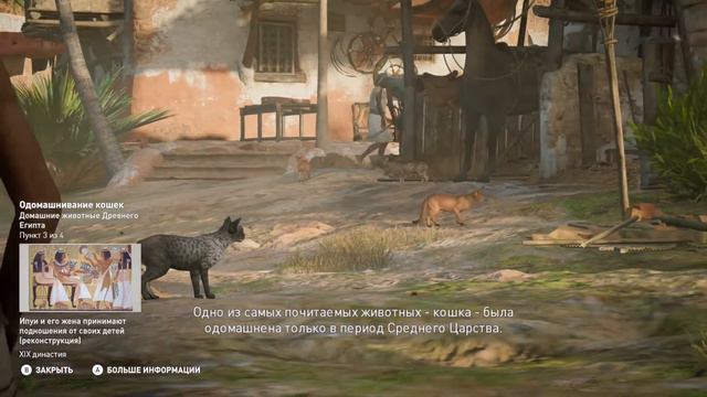 Assassin's creed Origins - Интерактивный тур #53 - Домашние животные Древнего Египта смотреть онлайн