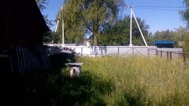 Вид садового участка в Заднем Поле