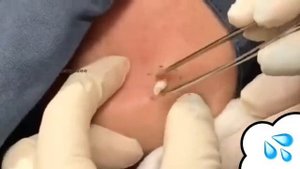 ЖИРОВИКИ № 16