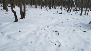 По морозу босиком к милому ходила