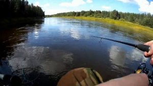 Рыбалка в Вологодской обл. Сплав по реке Чагодоща. Щука, окуни.