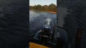 Лодка Крым с Suzuki DT 30