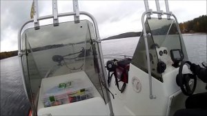 Silver Hawk 520 DC