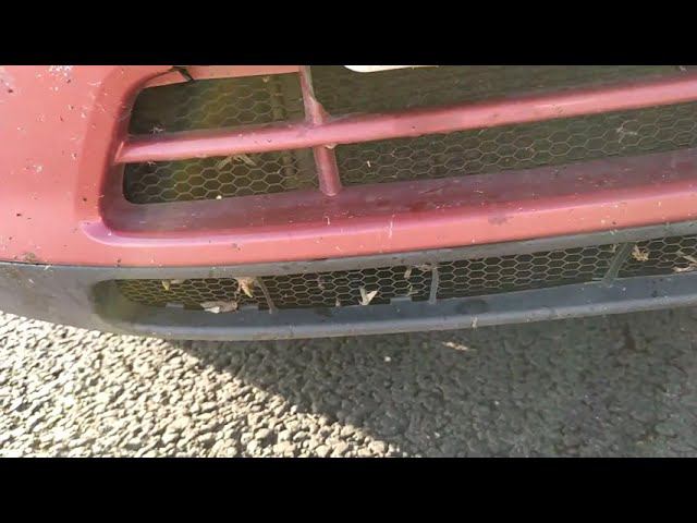 О пользе решетки на радиатор