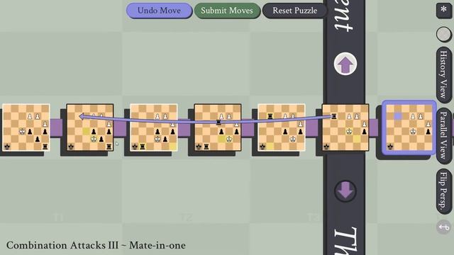 5D Chess Puzzles Combination Attacks 1~5 смотреть онлайн