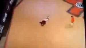 жесть! трюк на скейте и ужасное падение!