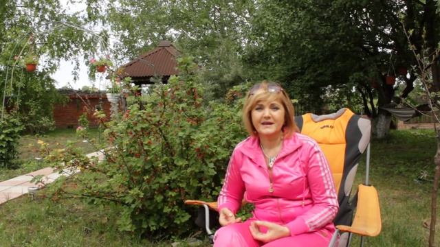 Нутрициолог Татьяна Гущина о красной смородине. смотреть онлайн