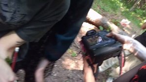 VLOG. Съемка в лесу