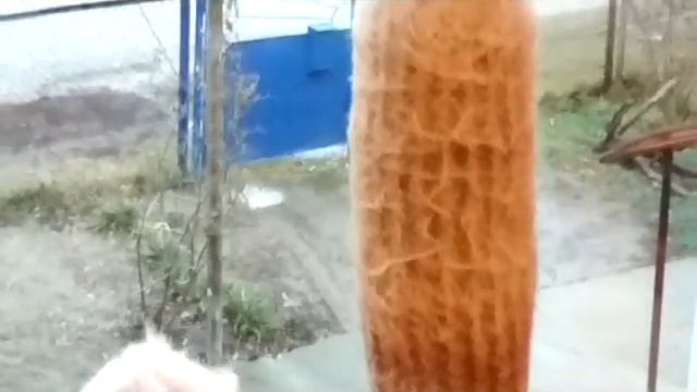 Кактусы моей невестки смотреть онлайн