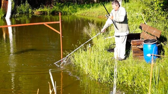 Монстры в моём прудике,рыбалка. Карп метает икру смотреть онлайн