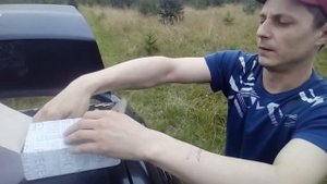 какие я покупаю запчасти на рено меган 2 ..комплект грм ..колодки..втулки рычага..фазорегулятор